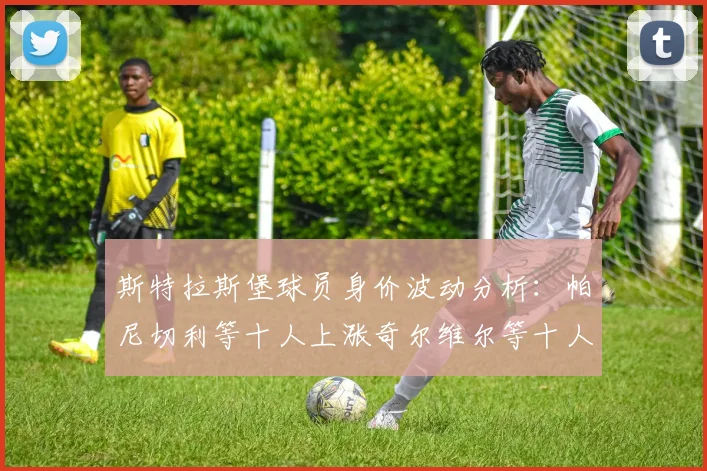 斯特拉斯堡球员身价波动分析：帕尼切利等十人上涨奇尔维尔等十人下滑