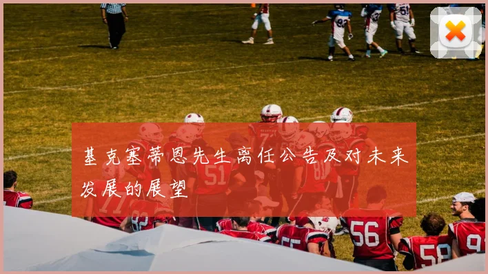 基克塞蒂恩先生离任公告及对未来发展的展望