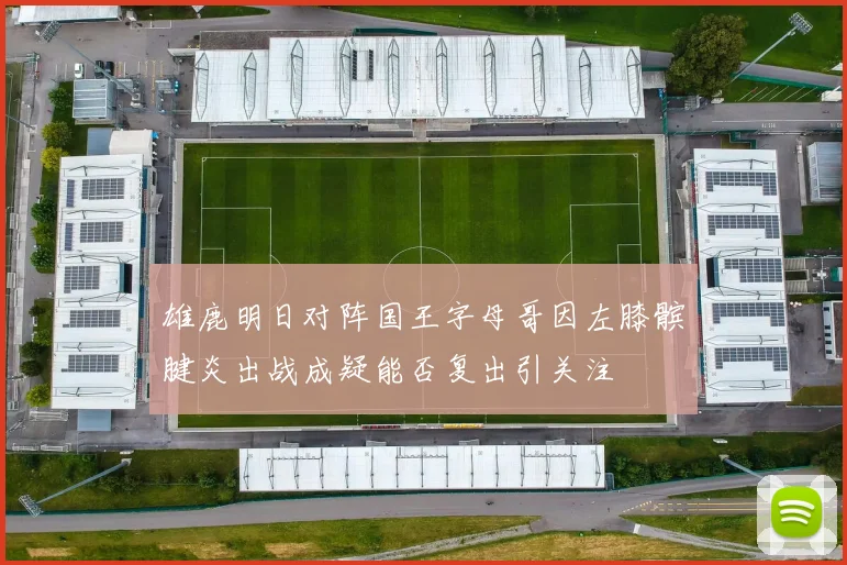 雄鹿明日对阵国王字母哥因左膝髌腱炎出战成疑能否复出引关注